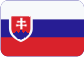 Česká konsolidační agentura Slovensky